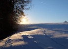 Waldhüttl am Karwendelgebirge 