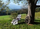Grafenhäusl im Naturpark Karwendel 