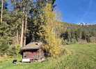 Waldhüttl am Karwendelgebirge 