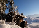 Waldhüttl am Karwendelgebirge 