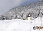 Waldhüttl am Karwendelgebirge 