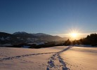Waldhüttl am Karwendelgebirge 