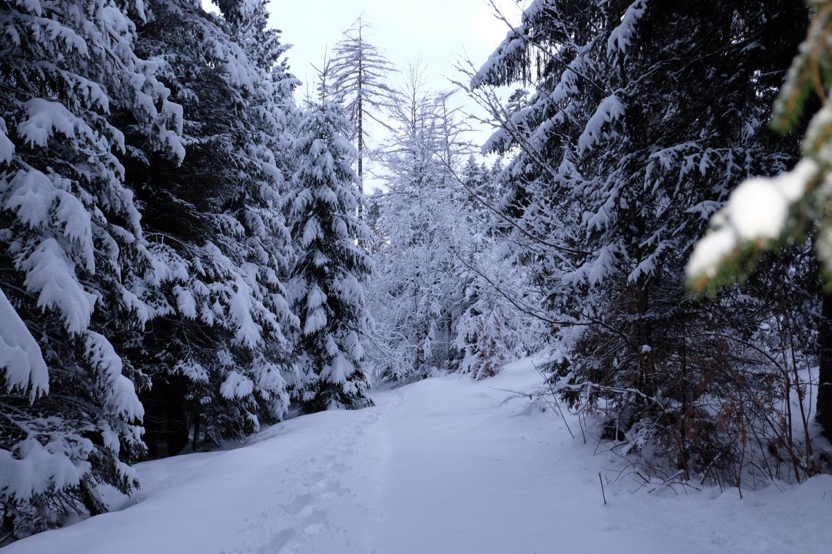 Grafenhäusl im Naturpark Karwendel 